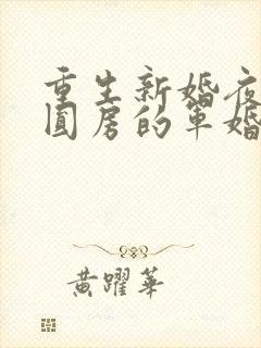 重生新婚夜正在圆房的军婚封面