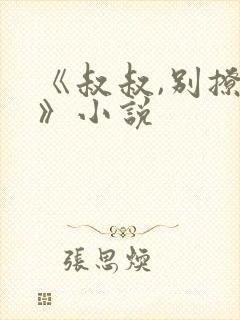 《叔叔,别撩我》小说封面