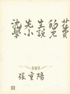 沈先生的花式教学小说免费封面