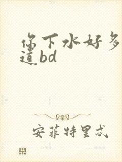 你下水好多下水道bd