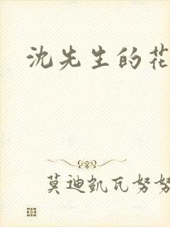 沈先生的花式调