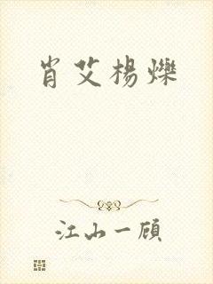 肖艾杨烁封面