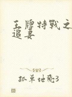 王牌特战之军少追妻