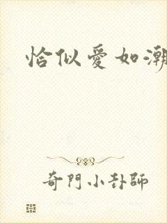 恰似爱如潮封面