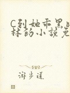 C到她乖黑暗森林的小说免费