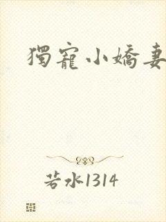 独宠小娇妻