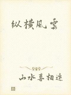 纵横风云