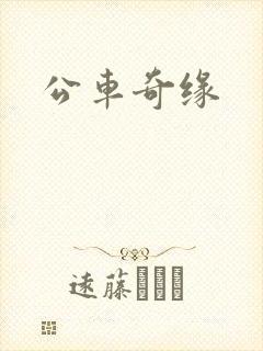 公车奇缘