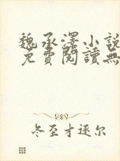 魏承泽小说全文免费阅读无弹窗笔趣
