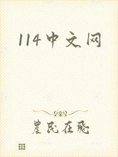 114中文网封面