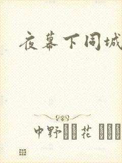 夜幕下同城网