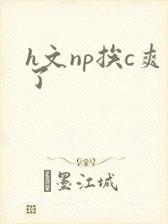 h文np挨c爽了