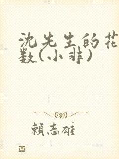 沈先生的花式调数(小非)