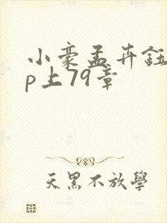 小豪孟卉钰慧三p上79章
