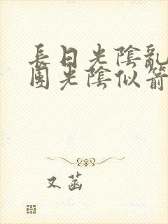 长日光阴乱作一团光阴似箭笔渺封面