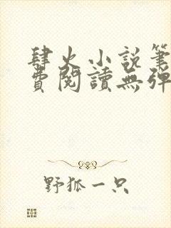 肆火小说笔趣免费阅读无弹窗