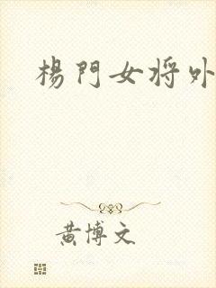 杨门女将外传