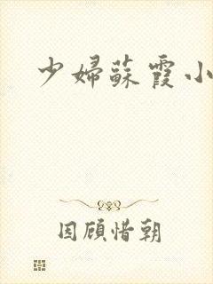 少妇苏霞小说