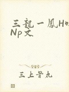 三龙一凤H啪肉Np文