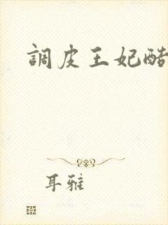 调皮王妃酷王爷