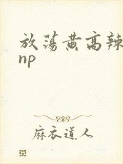 放荡黄高辣h文np