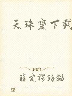 天珠变下载封面