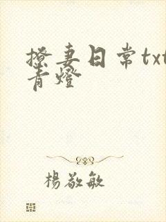 撩妻日常txt青灯封面