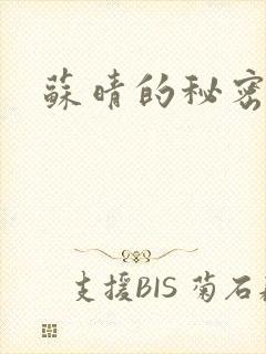 苏晴的秘密小说封面