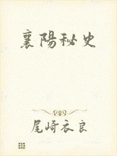 襄阳秘史封面