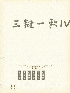 三糙一软1V3封面