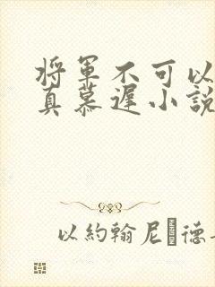 将军不可以魏云真慕迟小说笔趣阁