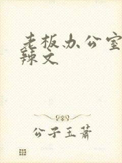 老板办公室系列辣文