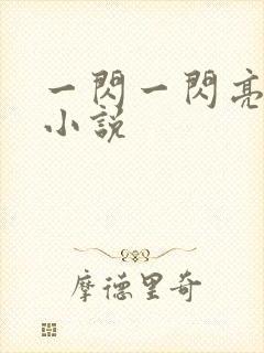 一闪一闪亮星星小说