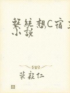 系统想C宿主的小说
