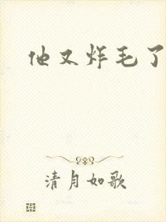 他又炸毛了