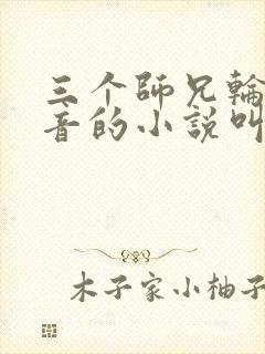 三个师兄轮流上音的小说叫什么