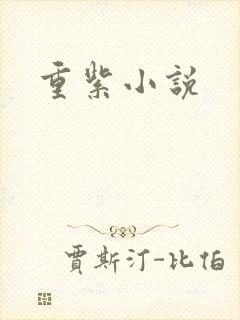 重紫小说封面