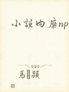 小说肉糜np
