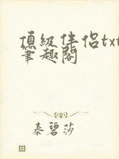 顶级伴侣txt笔趣阁封面