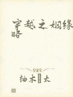 穿越之姻缘劫攻略