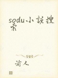 sodu小说搜索封面
