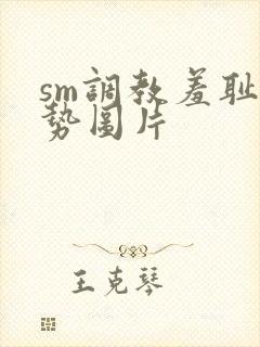 sm调教羞耻姿势图片封面