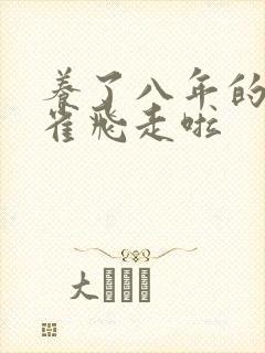养了八年的金丝雀飞走啦