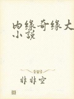 内缘奇缘大团圆小说