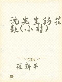 沈先生的花式调数(小非)