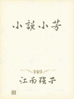 小说小芳