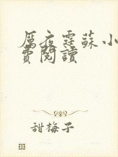 厉夜霆苏小汐免费阅读封面