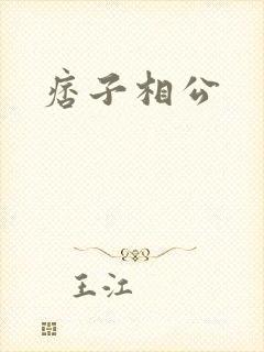 痞子相公封面