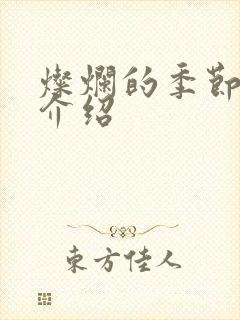 灿烂的季节剧情介绍