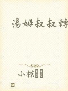 汤姆叔叔转接口